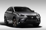 Lexus NX300 Black Line 2019 года